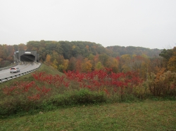 fall2604.jpg