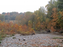 fall2607.jpg