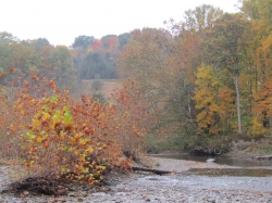 fall2608.jpg
