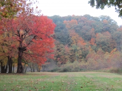 fall2612.jpg