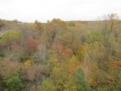 fall3003.jpg