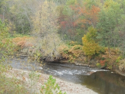 fall3006.jpg