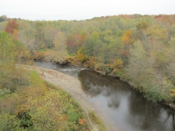 fall3007.jpg