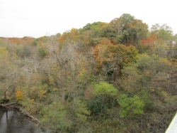 fall3008.jpg