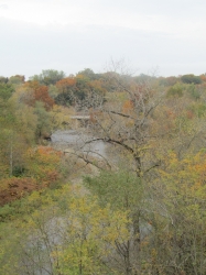 fall3014.jpg
