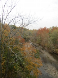 fall3016.jpg