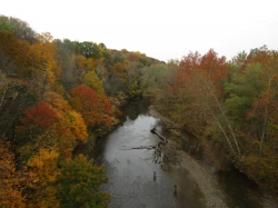 fall3018.jpg
