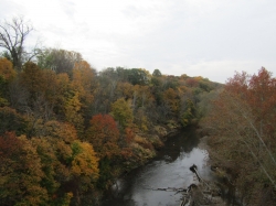 fall3019.jpg