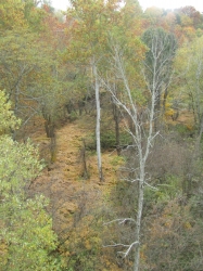 fall3023.jpg