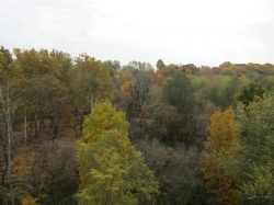 fall3024.jpg