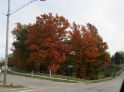 township01.jpg