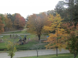 township06.jpg