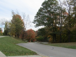 township08.jpg