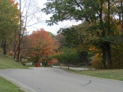 township09.jpg