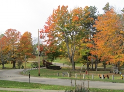 township12.jpg