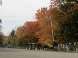 township14.jpg
