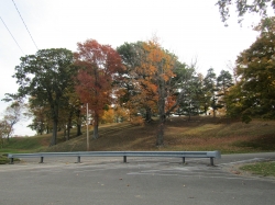 township15.jpg