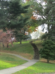 township16.jpg