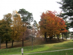 township18.jpg