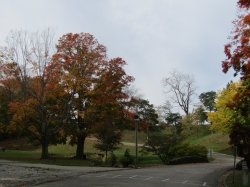 township21.jpg