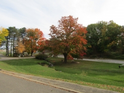 township25.jpg