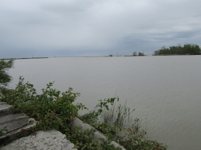 lake61904.jpg