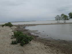 lake61902.jpg