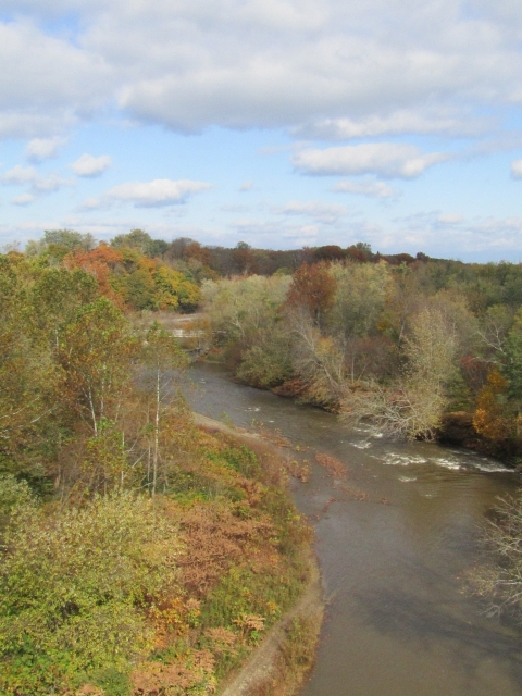 fall202004.jpg
