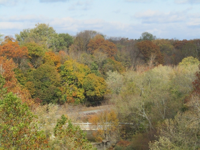 fall202005.jpg