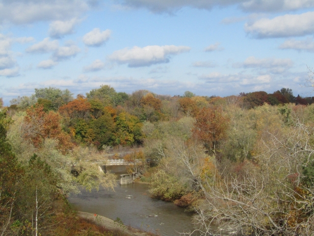 fall202006.jpg