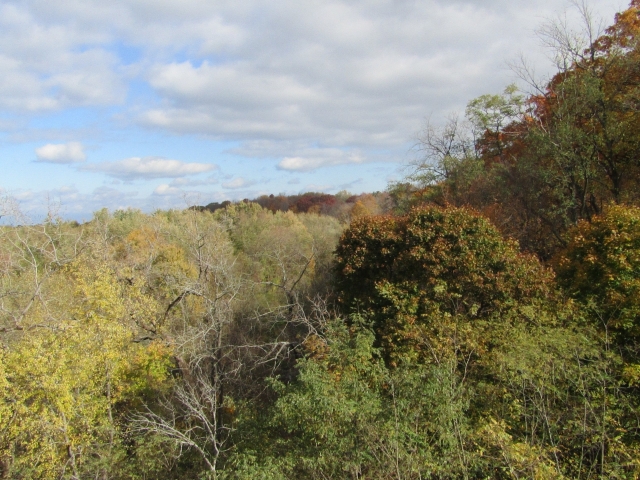 fall202008.jpg