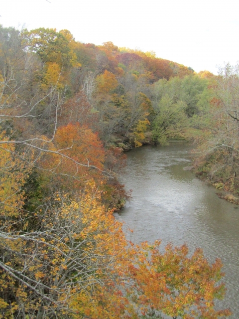 fall202010.jpg