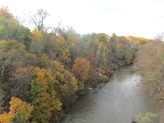 fall202011.jpg