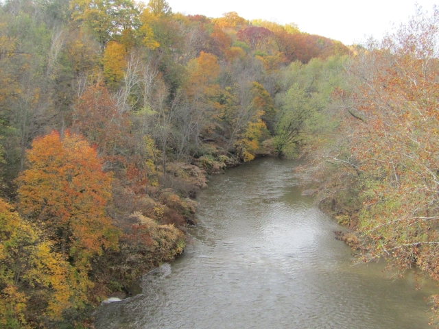 fall202012.jpg