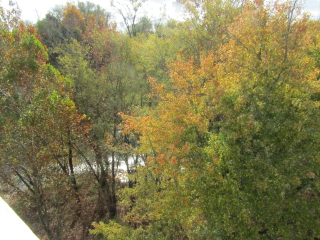 fall202013.jpg