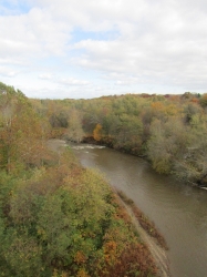 fall202001.jpg