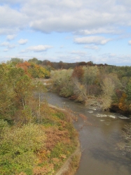 fall202004.jpg
