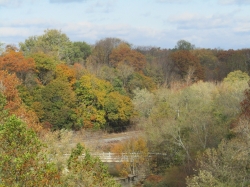 fall202005.jpg