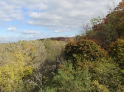 fall202008.jpg