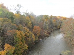 fall202011.jpg
