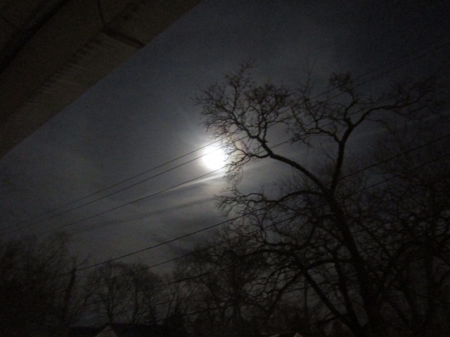 moon401.jpg