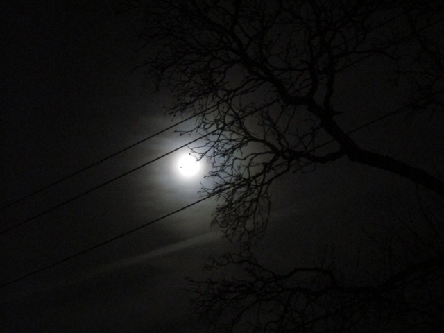 moon402.jpg
