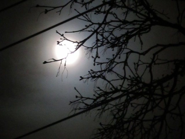 moon403.jpg