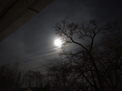 moon401.jpg