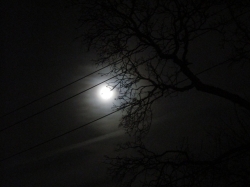 moon402.jpg