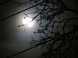 moon403.jpg