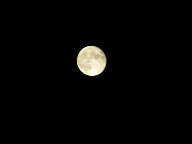 moon601.jpg