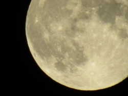 moon607.jpg
