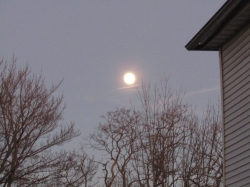 moonthank01.jpg