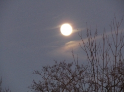 moonthank02.jpg